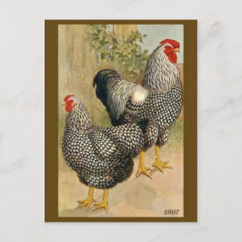 Briefkaart  illustratie