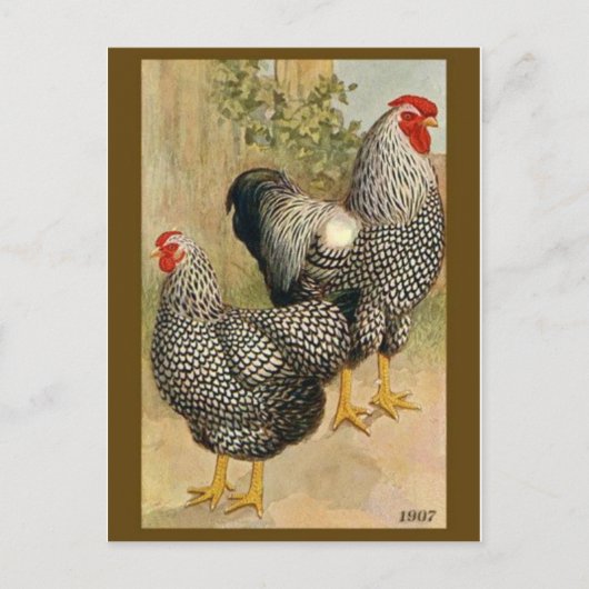 Briefkaart illustratie (Voorkant)