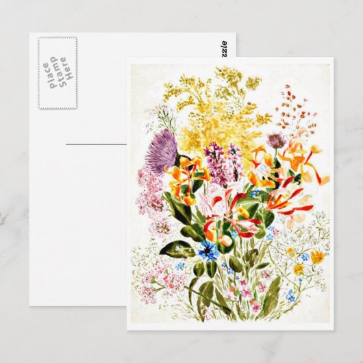 Briefkaart- Illustratie-Beatrix Potter 10 Briefkaart (Voorkant / Achterkant)