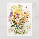 Briefkaart- Illustratie-Beatrix Potter 10 Briefkaart (Voorkant)