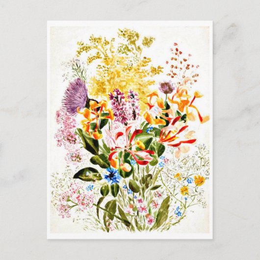 Briefkaart- Illustratie-Beatrix Potter 10 Briefkaart (Voorkant)