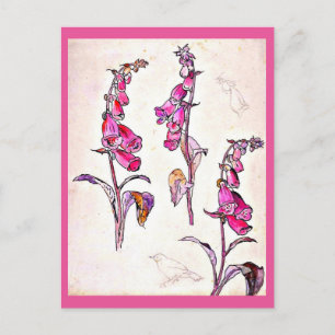 Briefkaart- Illustratie-Beatrix Potter 13 Briefkaart