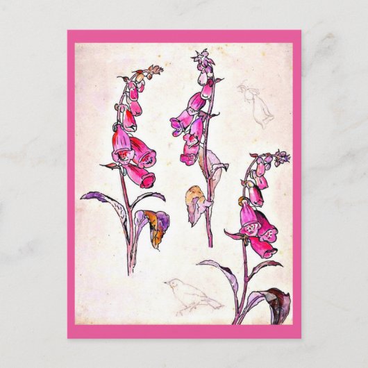 Briefkaart- Illustratie-Beatrix Potter 13 Briefkaart (Voorkant)