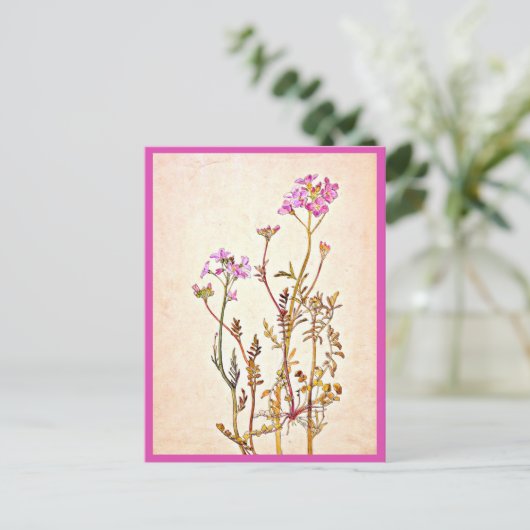 Briefkaart- Illustratie-Beatrix Potter 1 Briefkaart (Staand voorkant)