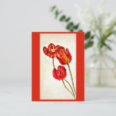 Briefkaart- Illustratie-Beatrix Potter 5 Briefkaart (Staand voorkant)