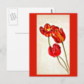 Briefkaart- Illustratie-Beatrix Potter 5 Briefkaart (Voorkant / Achterkant)