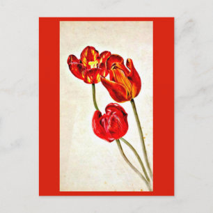 Briefkaart- Illustratie-Beatrix Potter 5 Briefkaart