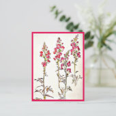 Briefkaart- Illustratie-Beatrix Potter 7 Briefkaart (Staand voorkant)