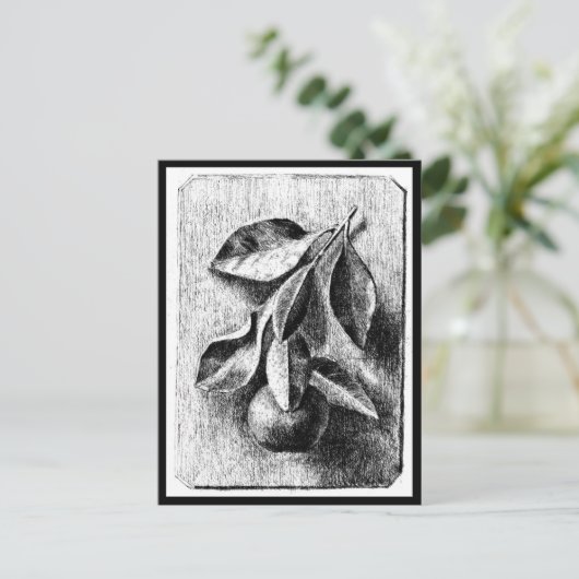 Briefkaart- Illustratie-Beatrix Potter 8 Briefkaart (Staand voorkant)