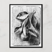 Briefkaart- Illustratie-Beatrix Potter 8 Briefkaart (Voorkant)