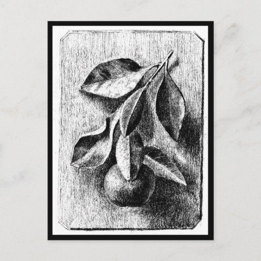 Briefkaart- Illustratie-Beatrix Potter 8 Briefkaart (Voorkant)