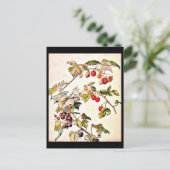 Briefkaart- Illustratie-Beatrix Potter 9 Briefkaart (Staand voorkant)