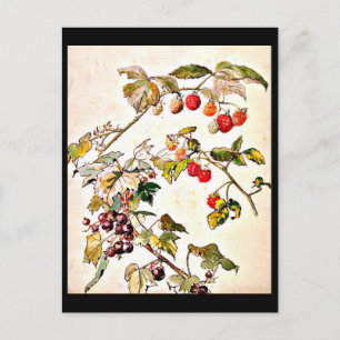 Briefkaart- Illustratie-Beatrix Potter 9 Briefkaart