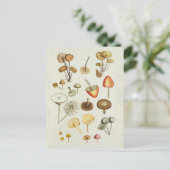 Briefkaart / illustratie van paddenstoelen (Staand voorkant)