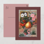 Briefkaart - illustratie  vruchten (Voorkant / Achterkant)