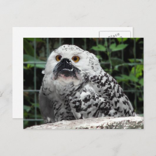 Briefkaart in bulk (Voorkant / Achterkant)