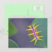 Briefkaart in de derde pijler. (Voorkant / Achterkant)