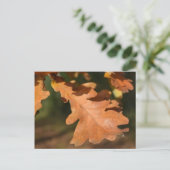 Briefkaart in de herfst van eiken bladeren (Staand voorkant)