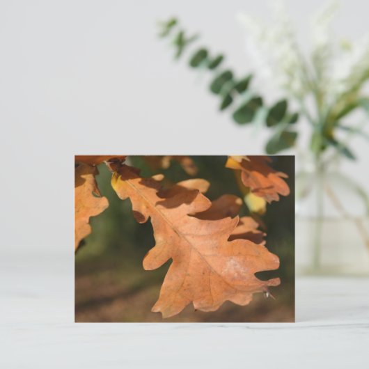 Briefkaart in de herfst van eiken bladeren (Staand voorkant)