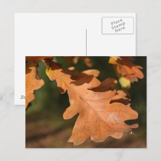 Briefkaart in de herfst van eiken bladeren (Voorkant / Achterkant)