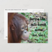 Briefkaart in het wild en regenwoud opslaan (Voorkant / Achterkant)