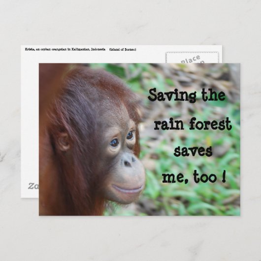 Briefkaart in het wild en regenwoud opslaan (Voorkant / Achterkant)