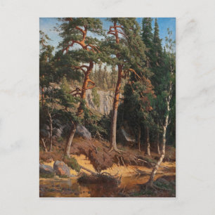 briefkaart "In the Forest"