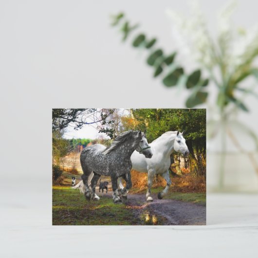 briefkaart "In van de weide" (Staand voorkant)