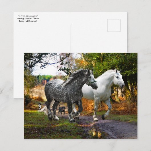 briefkaart "In van de weide" (Voorkant / Achterkant)