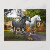 briefkaart "In van de weide" (Voorkant)