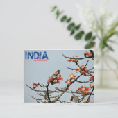 Briefkaart - India - Kolkata - Indische lente (Staand voorkant)