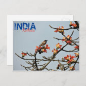 Briefkaart - India - Kolkata - Indische lente (Voorkant / Achterkant)