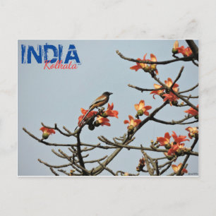 Briefkaart - India - Kolkata - Indische lente