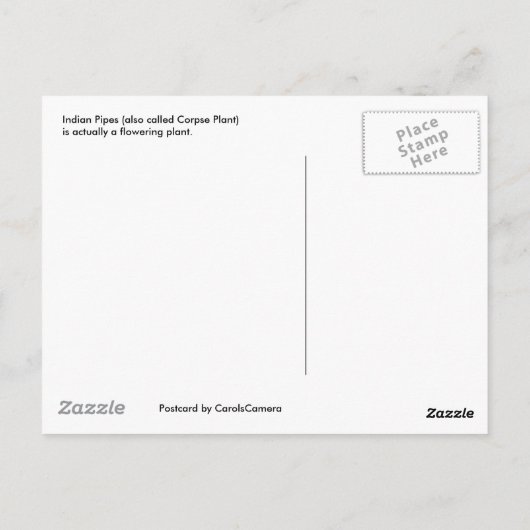 Briefkaart Indiase buizen (Achterkant)