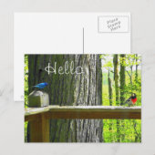 Briefkaart Indigo Bunting & Roos Breasted Grosbeak (Voorkant / Achterkant)