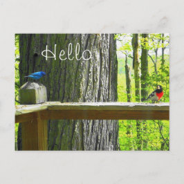 Briefkaart Indigo Bunting & Roos Breasted Grosbeak