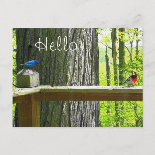 Briefkaart Indigo Bunting & Roos Breasted Grosbeak (Voorkant)