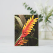 briefkaart "Inflorescentie van Vriesea bromelia" (Staand voorkant)