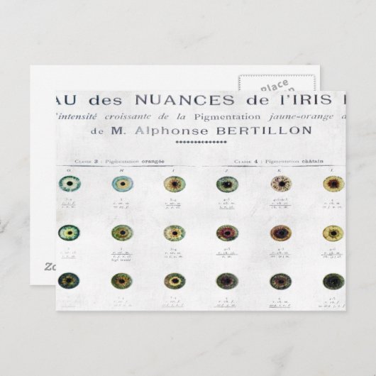 Briefkaart Iris-kleurengrafiek (Voorkant / Achterkant)