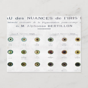 Briefkaart  Iris-kleurengrafiek