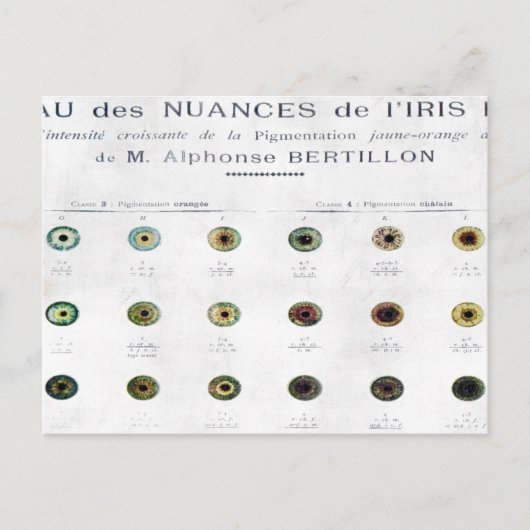 Briefkaart  Iris-kleurengrafiek (Voorkant)