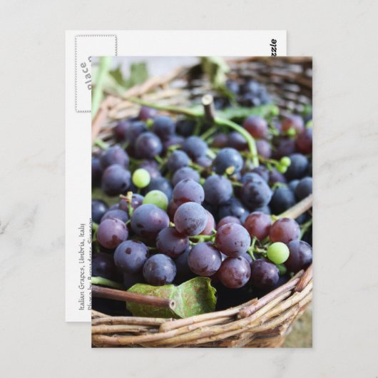 Briefkaart Italiaanse druiven (Voorkant / Achterkant)