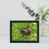 Briefkaart Japanse bijenkast (Staand voorkant)