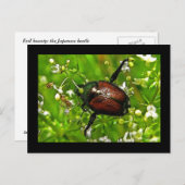 Briefkaart Japanse bijenkast (Voorkant / Achterkant)