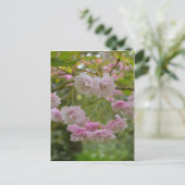 Briefkaart Japanse Cherry Blossom (Staand voorkant)