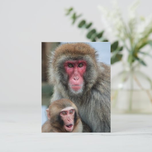 Briefkaart Japanse Macaque-apen (Staand voorkant)
