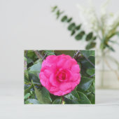 Briefkaart Japanse roze Camellia (Staand voorkant)