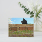 briefkaart "Jasper's Lookout" (Staand voorkant)