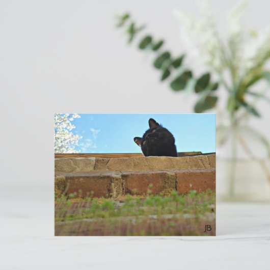 briefkaart "Jasper's Lookout" (Staand voorkant)