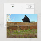 briefkaart "Jasper's Lookout" (Voorkant / Achterkant)